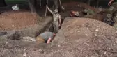 KRAMATORSK - Ukrayna askerleri, olası Rus ilerleyişine karşı kentte siper kazıyor