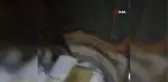 Ağrı 3. sayfa haberi... Ağrı'da kaçak bin 175 litre motorin ve 490 paket sigara ele geçirildi