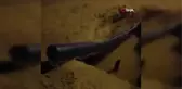 Son dakika haber... Çocukların, kapatılmayan su çukurundaki tehlikeli eğlencesi kamerada