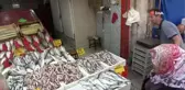 Sezonun ilk balıkları tezgahlarda