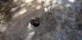 Taşı kafatası sanan ev sahibi polisi alarma geçirdi