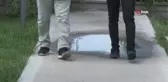Hastalığı sivrisinekler taşıyor... Eroğlu: 