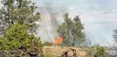 Son dakika haberi! Refahiye'de ormanlık alanda yangın