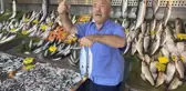 Sezon açıldı, tezgahlar balıkla dolmaya başladı
