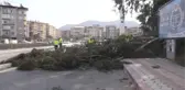 Devrilen ağacın altında kalan motosikletteki 2 kişi yaralandı