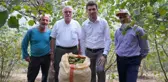 Son dakika gündem: ERBAA FINDIĞINDA HASAT ZAMANI