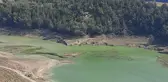Son dakika haberi... Ağaçlık alandaki yangın kontrol altına alındı