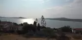 Balıkesir haberi: BALIKESİR - Ayvalık'ta agave bitkisi ilk ve son kez çiçek açtı