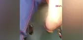 ELAZIĞ'DA HAFİF TİCARİ ARAÇ ŞARAMPOLE DEVRİLDİ 3 YARALI
