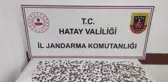 Bir evde 1127 sikke ele geçirildi