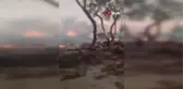 Kazakistan'da devam eden orman yangını nedeniyle acil durum ilan edildi