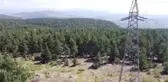 Ormanlardan 31 yıldır gözünü ayırmıyor