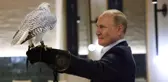 Putin, türü kaybolma tehlikesiyle karşı karşıya olan bir şahini besledi