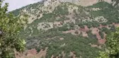 Son dakika haber! TUNCELİ'DE, MİLLİ PARKTAKİ YANGIN 12 SAAT SONRA SÖNDÜRÜLDÜ