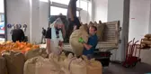 Ordu ekonomi haberi | Ordu'da TMO'ya talep artıyor
