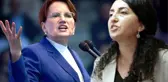 HDP'li vekilden, 