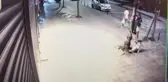 Son dakika haberi... ZEYTİNBURNU'NDA AĞIZLIKSIZ GEZDİRİLEN PİTBULL UYUYAN KEDİYİ ÖLDÜRDÜ
