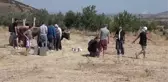 Nazım Hikmet'in 