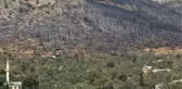 Son dakika haberi! Mersin'deki orman yangınında küle dönen bölge böyle görüntülendi
