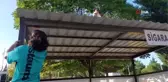 Son dakika haberi | Sigara içme alanı çatısında mahsur kalan kediyi hastane personeli kurtardı