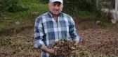 Annesinin kaybolan altın dişlerini arıyor: Getirene 2 ton fındık verecek