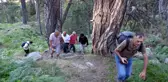 Kütahya yerel: Emet Eğrigöz Dağı'na zirve yürüyüşü