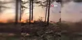 Tokat haberleri! Tokat'ta aynı yerde ikinci orman yangını