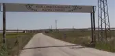 BALIKESİR - Ata tohumundan yetiştirilen 