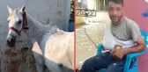 Ata işkenceye ders gibi ceza! 15 gün hayvan barınağında çalışacak
