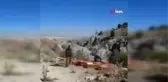 Kınalı keklikler doğaya salındı
