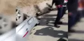 Takla atan araçtaki 2 kişi yaralandı