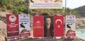 Ziyaret Barajı'na 100 bin sazan balığı yavrusu bırakıldı