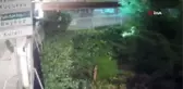 Aleyna Tilki'nin evine girmeye çalışan saplantılı hayranı hakim karşısına çıktı