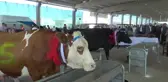 Ankara haber... Tarım Fuarı Düzenleyen Gölbaşı Belediye Belediye Başkanı Şimşek : 