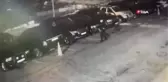 Son dakika haber | Sarıyer'de sahipli köpeği vurarak öldüren sanığın yargılanmasına başlandı