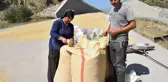 Konya haberi... Çeltik hasadına başlandı