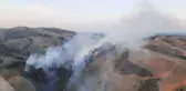 Son dakika haberi! Adana'da çıkan orman yangını kontrol altına alındı