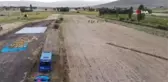 Ayçiçek ve mısır tarlaları arasına ekili olan 1 milyon 650 bin kök kenevir bitkisi ele geçirildi
