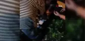 Son dakika haber! İstanbul'da cinayetle biten bıçaklı kavga kamerada: 8 yerinden bıçaklanarak öldürüldü