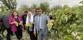 Karabük haberleri... Safranbolu'da tescilli 