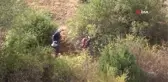 Kadınların zorlu kuşburnu mesaisi başladı