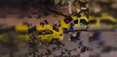 Son Dakika | Adana'da dehşet anları kamerada: Toplanan taksiciler genci öldüresiyle böyle dövdü