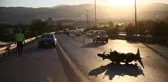 Son dakika haberi: Otomobile arkadan çarpan motosikletin sürücüsü öldü