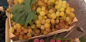 Çorum haber! Gökçealan, Osmancık Üzümü ile Şenlendi