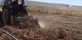 Afyon haber! Şuhut'ta kışlık patates hasadı başladı