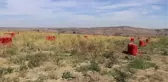 Tekirdağ haberi! Coğrafi işaret, Tekirdağ soğanına pazarda daha fazla yer açacak