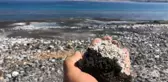 Salda'da 'Salyalaşma' ve 'Kararma' uyarısı