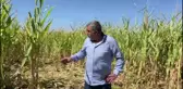 Uşak haberleri... Sivaslı Üretici, Tarsim'in Zararını Karşılamadığını İddia Etti: 