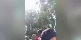 Muğla yerel haberleri | Marmaris'te Yaşam Savunucuları, Muçev'in Çed Bilgilendirme Toplantısını Protesto Etti