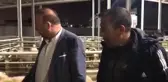 Uşaklı Besici: Hayvancılık Bitmek Üzere, Millet Gebe Hayvanlarını Kesiyor